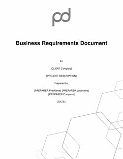 Business Requirements Document Template (BRD)