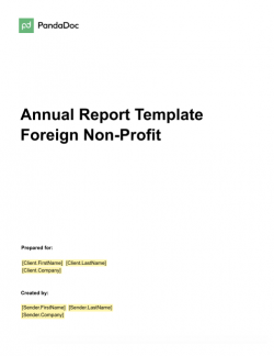 Annual Report Template – Foreign Non-Profit