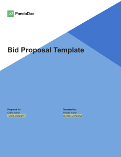Bid Proposal Template