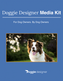 Media Kit Template by Doggie Designer 