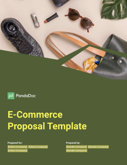 E-Commerce Proposal Template
