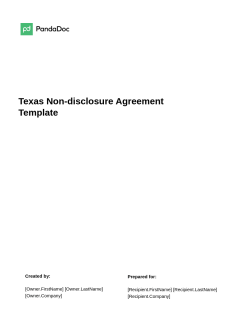 Texas Non-disclosure Agreement Template