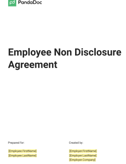 Employee non disclosure agreement